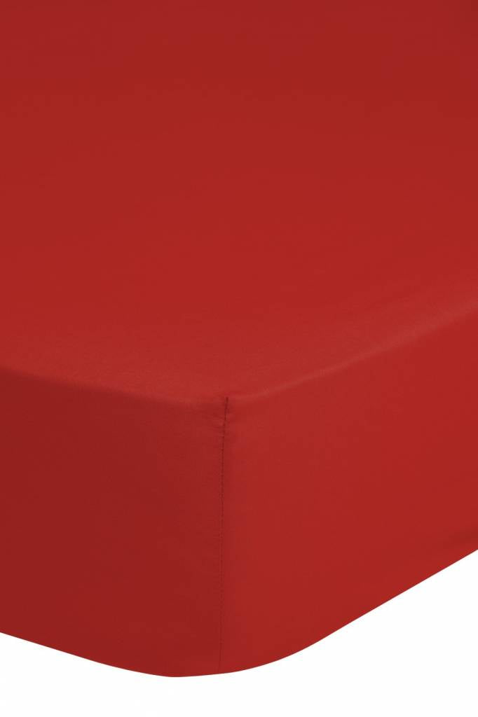Hoeslaken - jersey - 180x220 cm