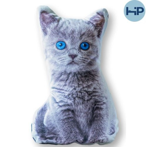 Sierkussen poes