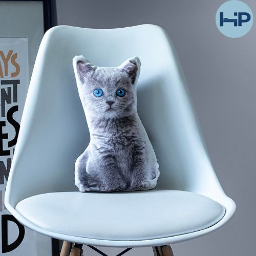 Sierkussen poes
