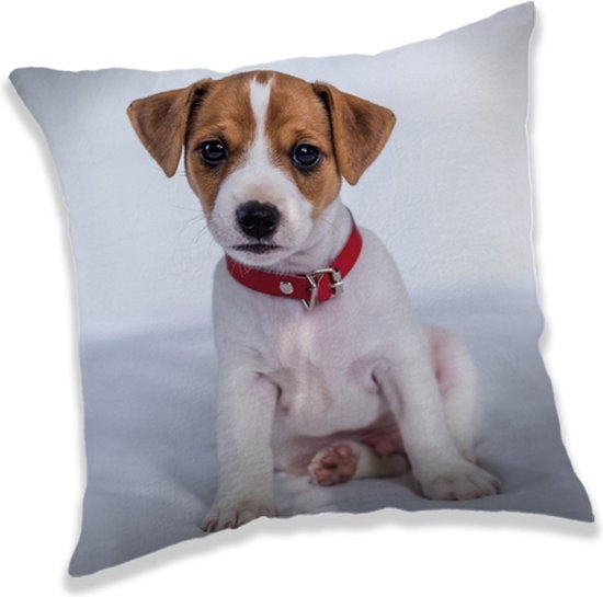 Jack Russell Kussentje