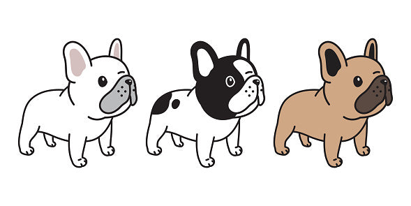 Franse Bulldog / Engelse Bulldog