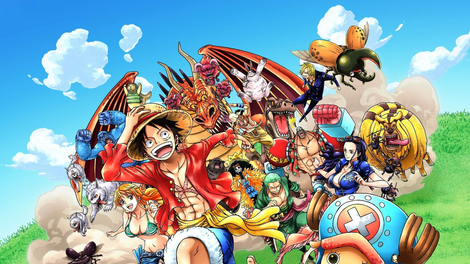 Dekbedovertrek One Piece