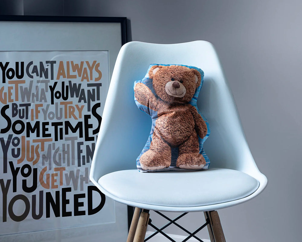 Sierkussen teddybeer