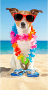 Strandlaken Jack Russel - handdoek 75x150 cm