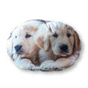 Sierkussen Labrador puppies