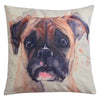 Sierkussen Boxer 43x43 cm
