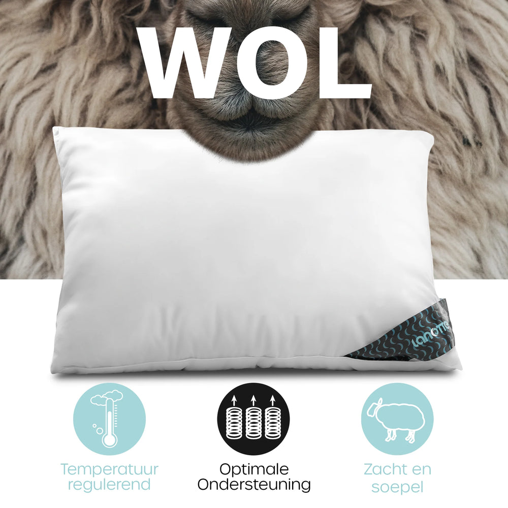 Lanotte® hoofdkussen - 100% wol vulling - 60x70 cm