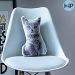 Sierkussen poes