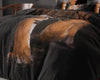 Sleeptime dekbedovertrek Tiger Icon - microvezel