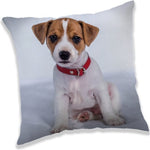 Jack Russell Kussentje